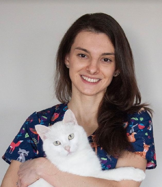 Weterynarz Magdalena Mordarska Wrocław Psie Pole, weterynarz USG, Przychodnia weterynaryjna Vena