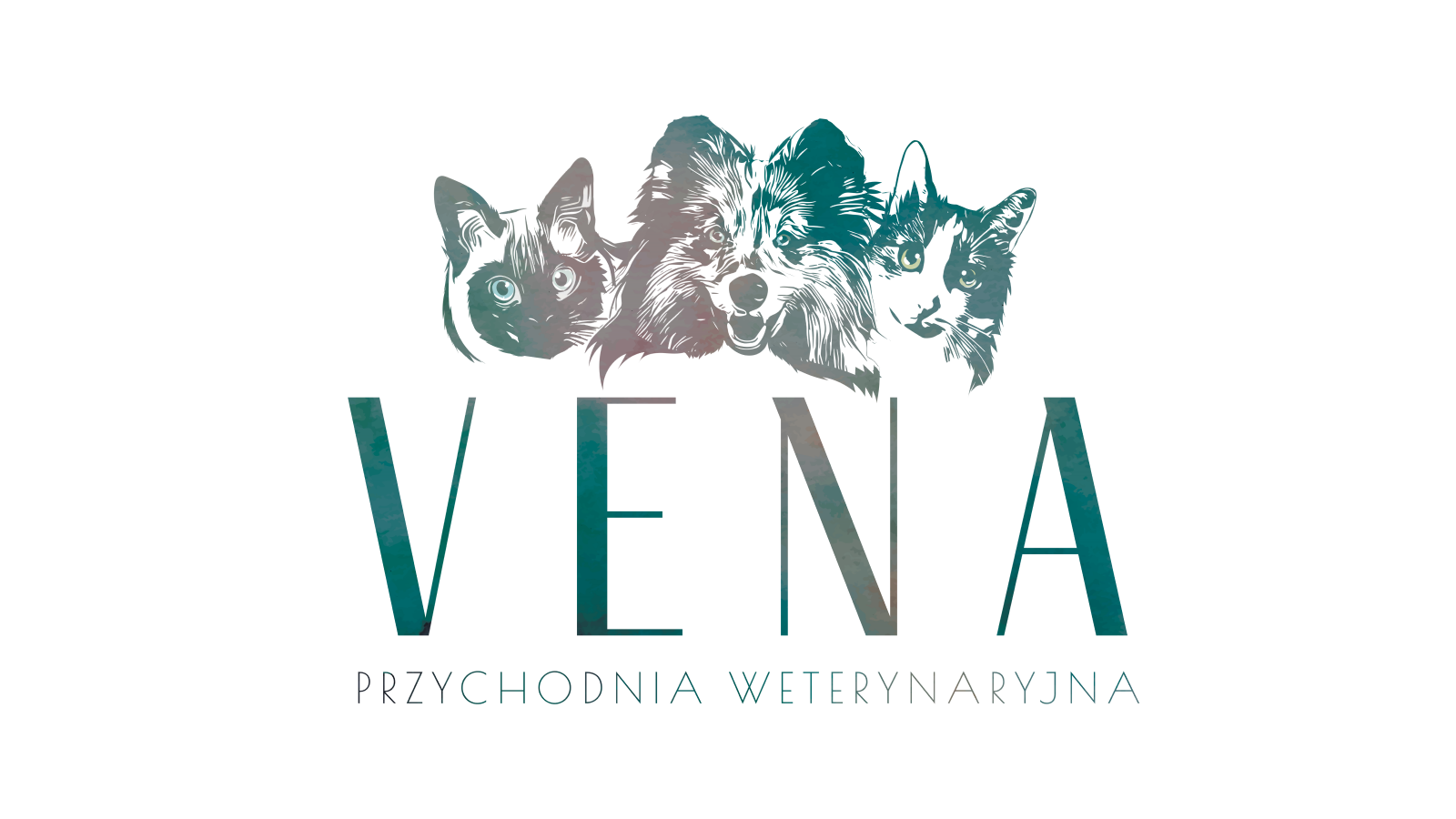 Weterynarz psie pole, weterynarz wrocław, przychodnia weterynaryjna VENA, weterynarz Kiełczów, Zakrzów