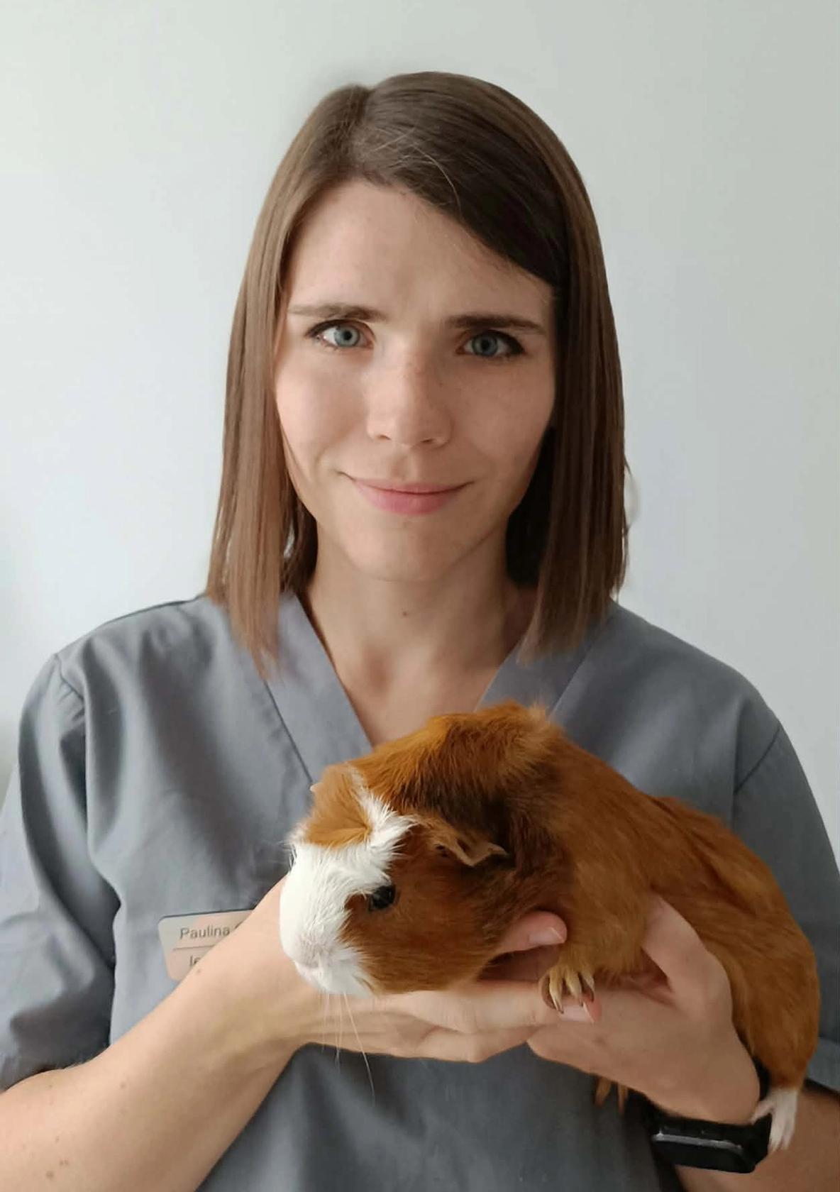 Weterynarz Paulina Orzeł-Żegleń, weterynarz psie pole wrocław, przychodnia VENA, zwierzęta egzotyczne