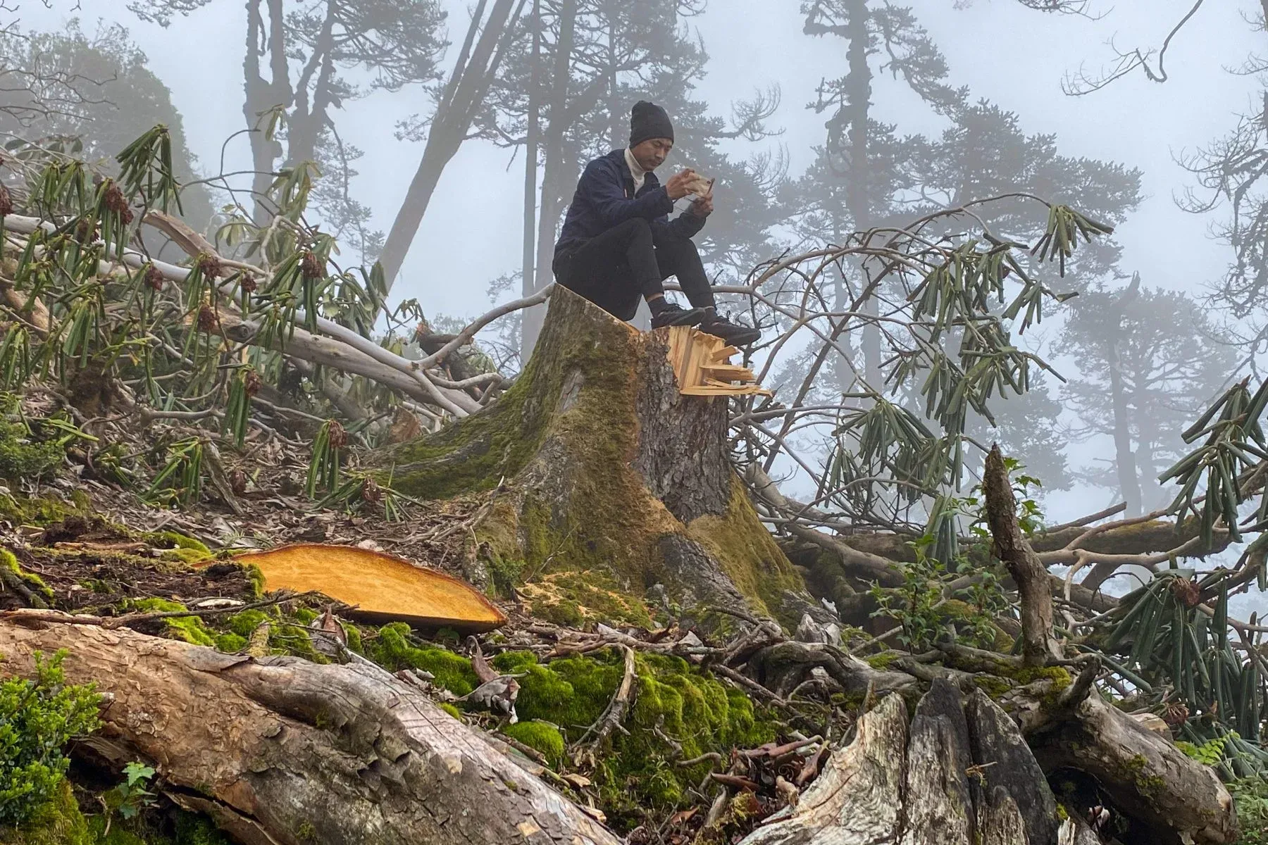 An indigenous activist takes photos of trees cut to make way for a cable car in Taplejung district, Nepal. The project is going ahead without consultation on land that local Indigenous people consider sacred.