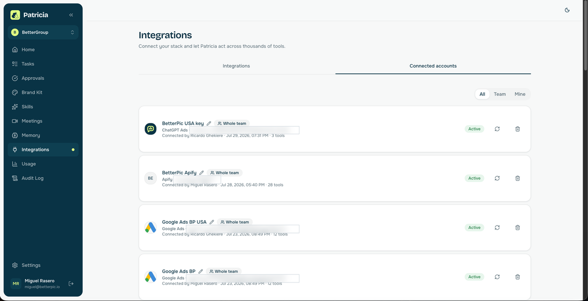 Patricia Connected accounts with four active ChatGPT Ads, Apify and Google Ads connections, identifiers redacted.