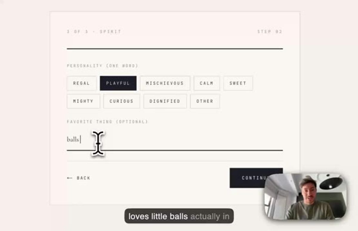 describing the pet to steer the prompt in the AI pet portrait generator, choosing a personality and a favorite thing