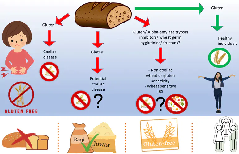 Managing Celiac Disease in Kids: A Guide to Gluten-Free Diets and Lifestyle Changes