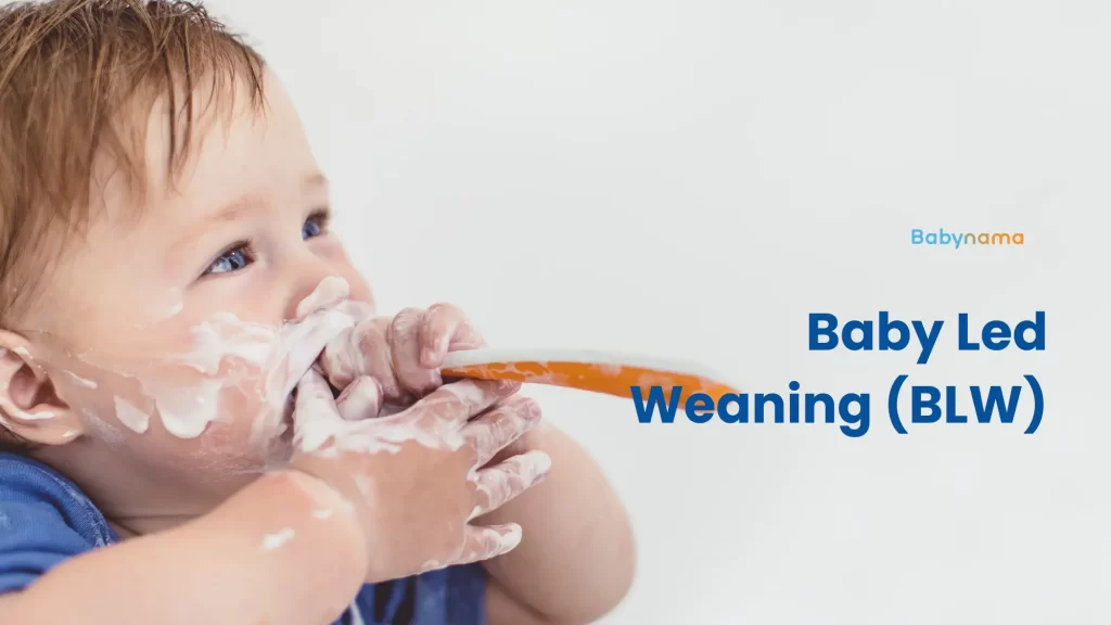 Baby Led Weaning (BLW)