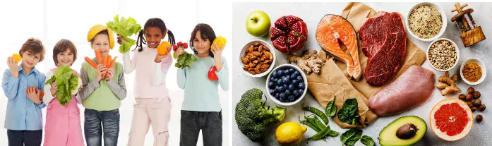 The Nutritional Guideline for Children’s Health