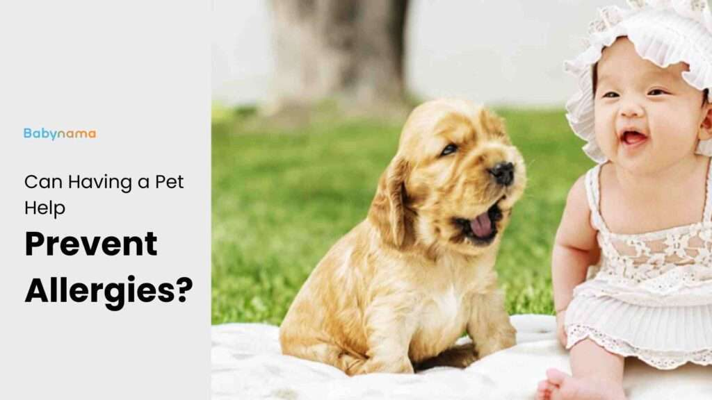 Do Pets Help In Decrease Allergy