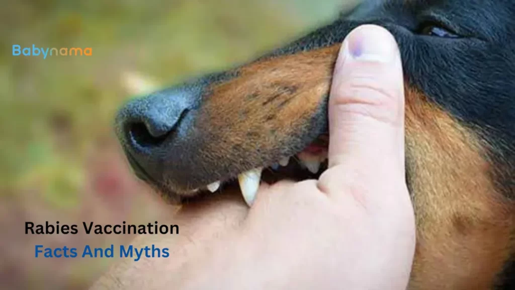 Rabies Vaccination Facts And Myths