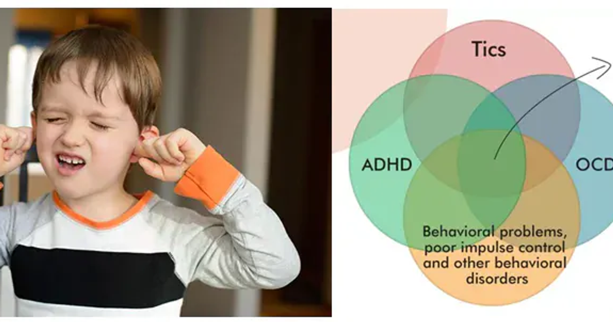 Visual Tics Tourette Syndrome (TS) & Tics