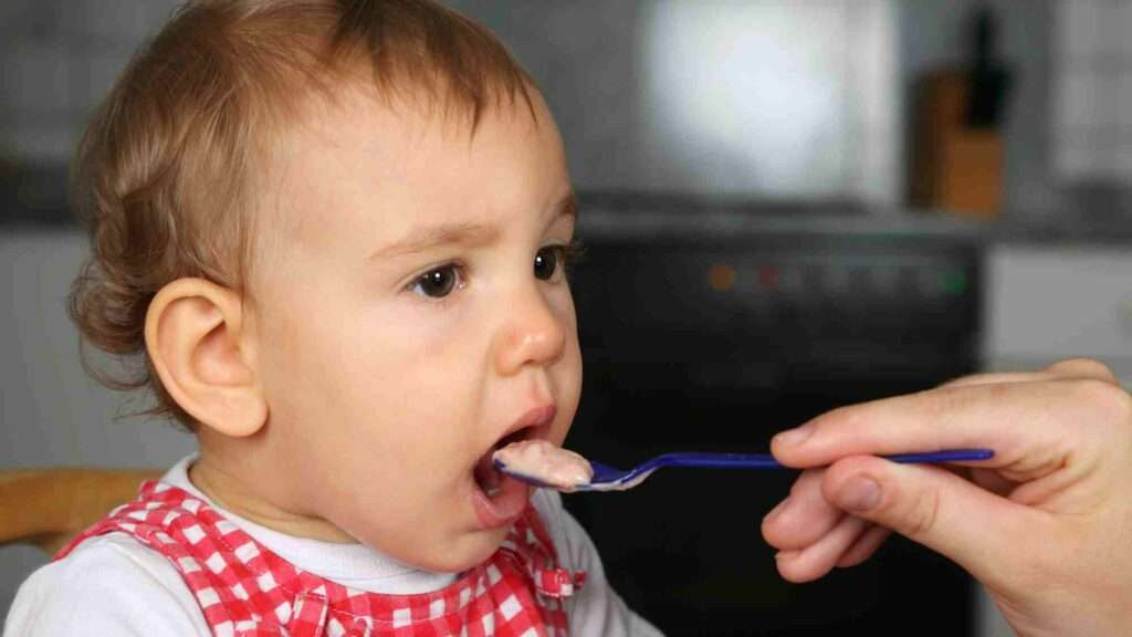 Recipe For Homemade Cerelac