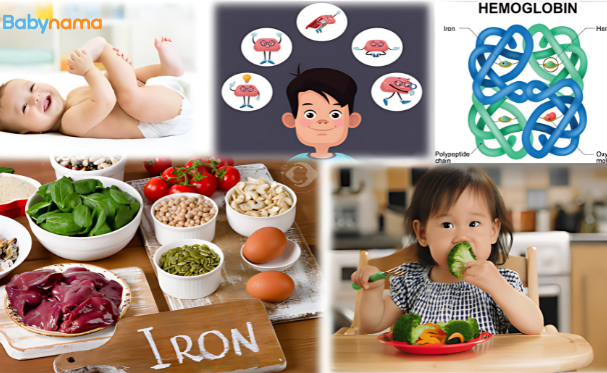 Iron for Kids - Benefits and Food Sources