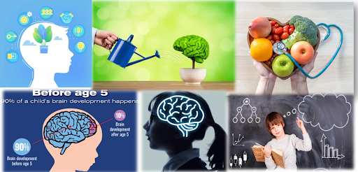 Best Brain-Boosting Foods for Your Child's Development