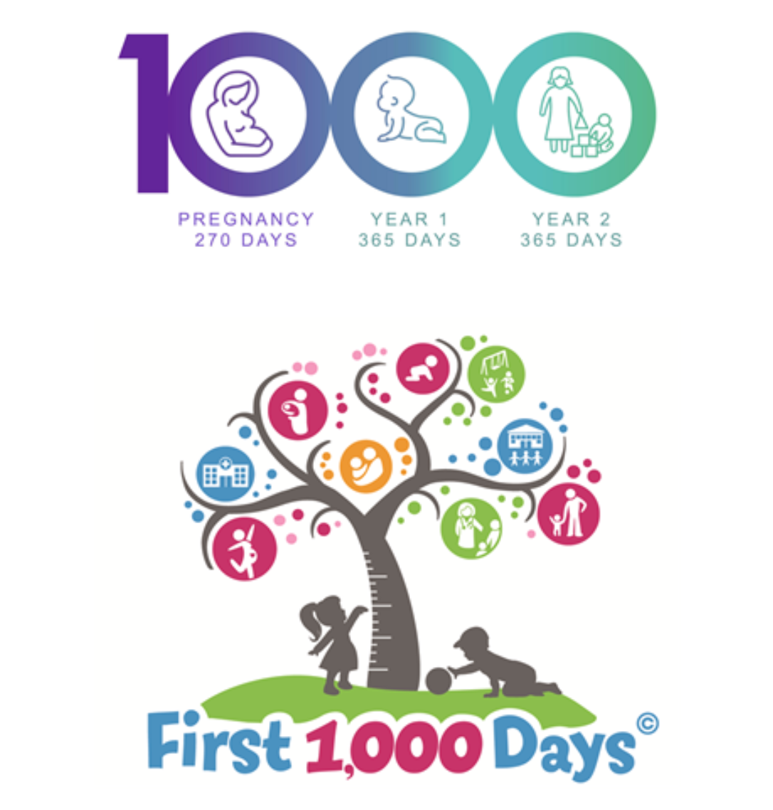 A Mother's Guide to Nutrition in the First 1000 Days (From Pregnancy to Toddlerhood)