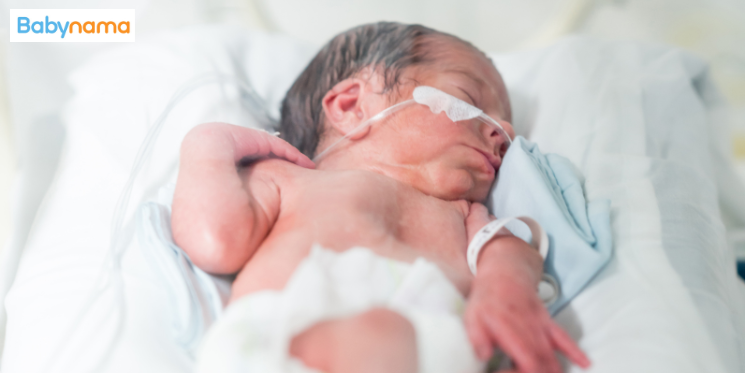 A Premature Baby's Nutritional Needs & Feeding Habits