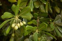 © Galerie Champ Lacombe 2025