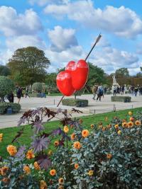 © Galerie Champ Lacombe 2025