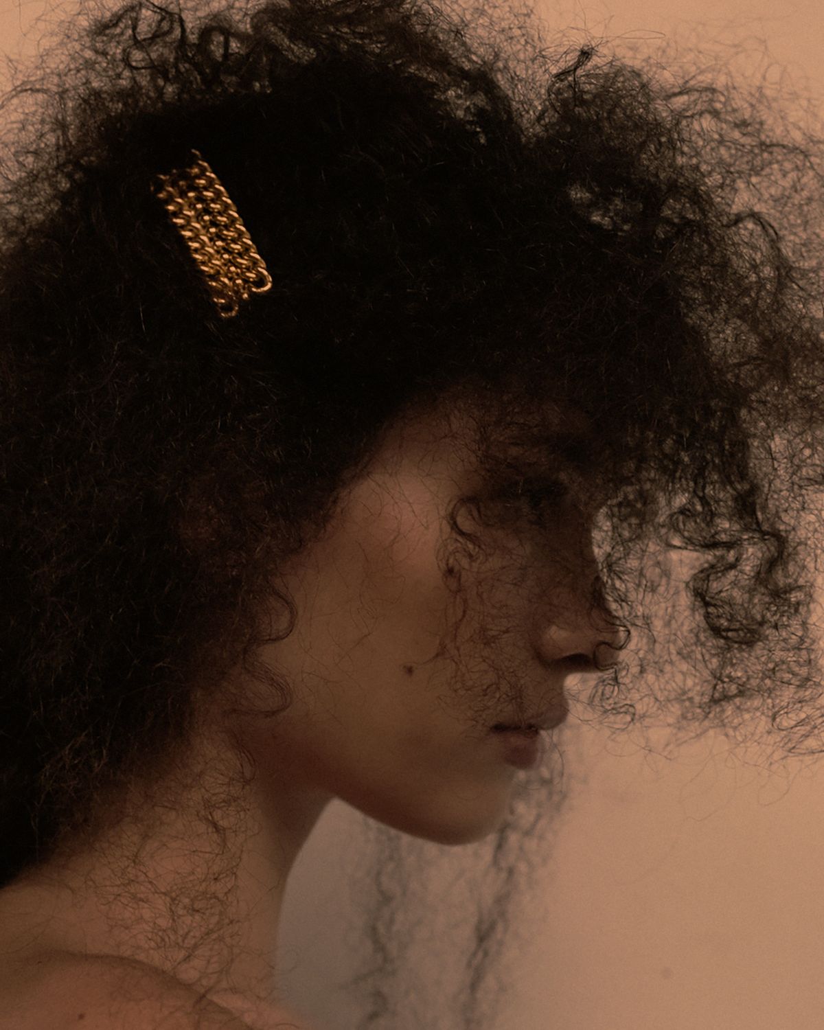 fizzy texutred hair fills the frame, women in profile with gold hair clip