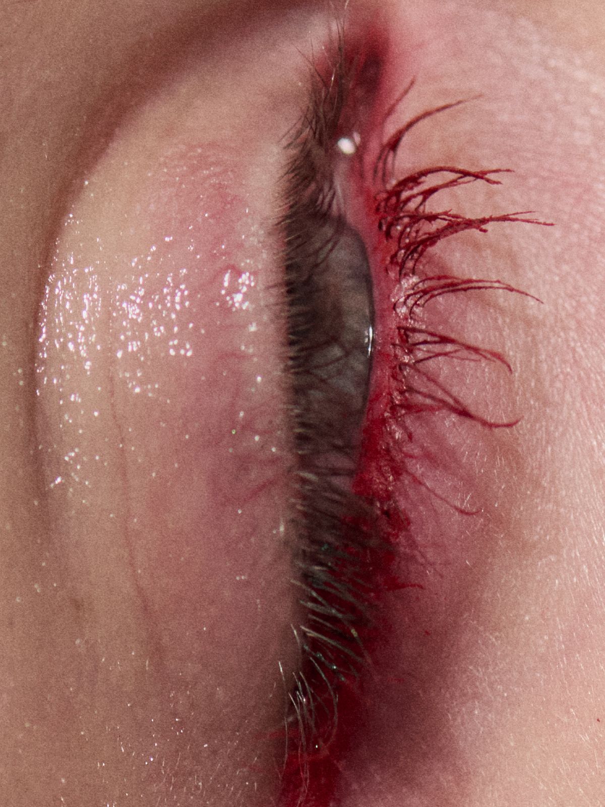 extreme close up of red eye lashes
