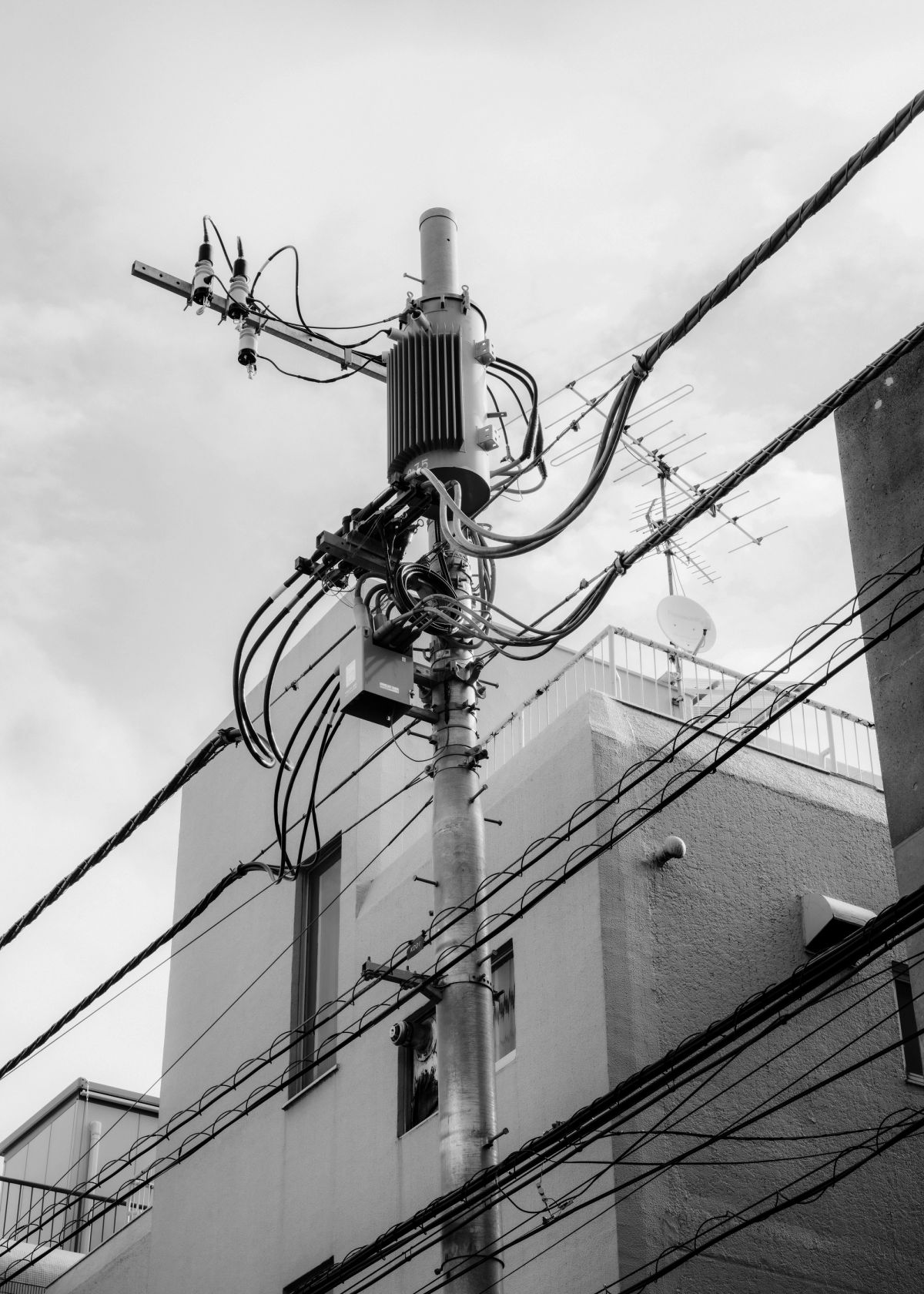 tokyo telephone cables in the sky