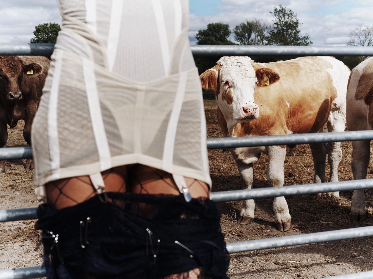 model blurred in the foreground stadning against a farm gate with cows in the background