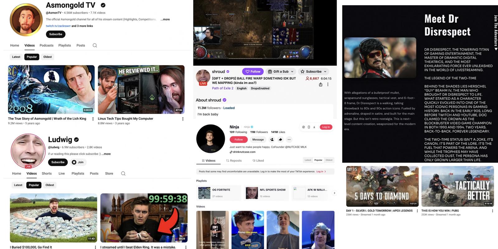 Mega Influencers and Top Streamers