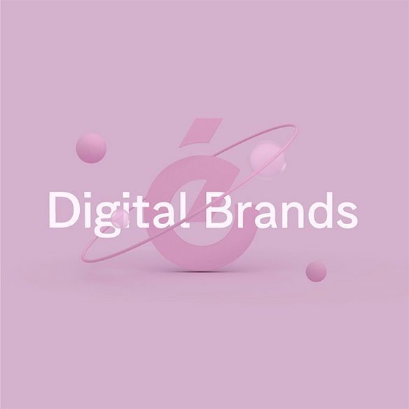 e6 Digital Brands Model