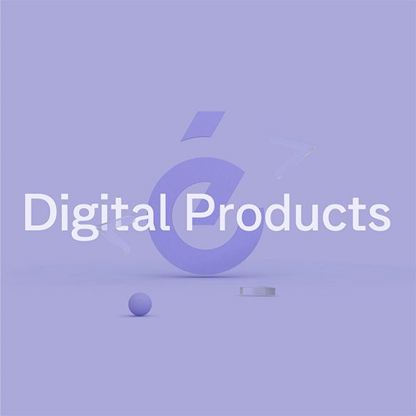 e6 Digital Products Model