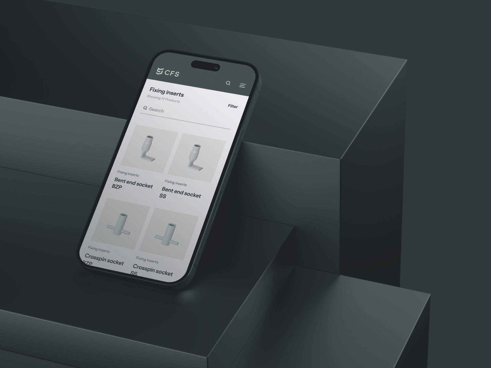 Design of the CFS website