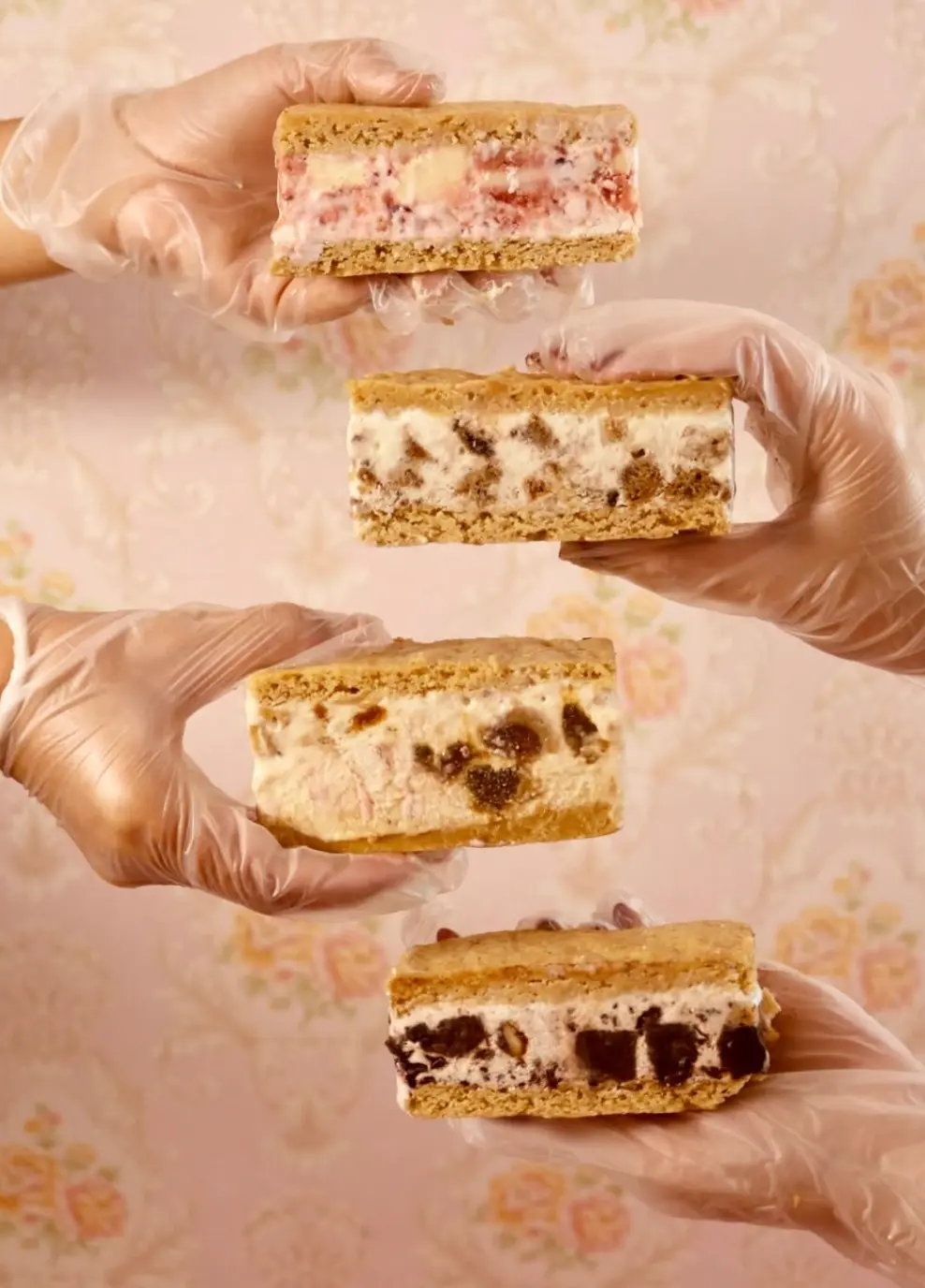 Ice Cream Cookie Sandwich S'Mores