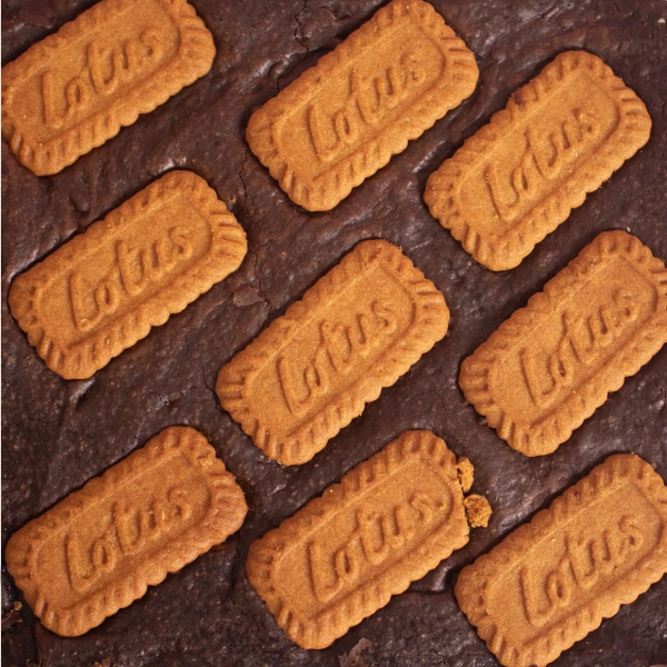 Fudgy Brownies Lotus Biscoff 10x10