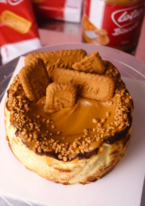 Burnt Cheesecake Lotus Dream 16cm