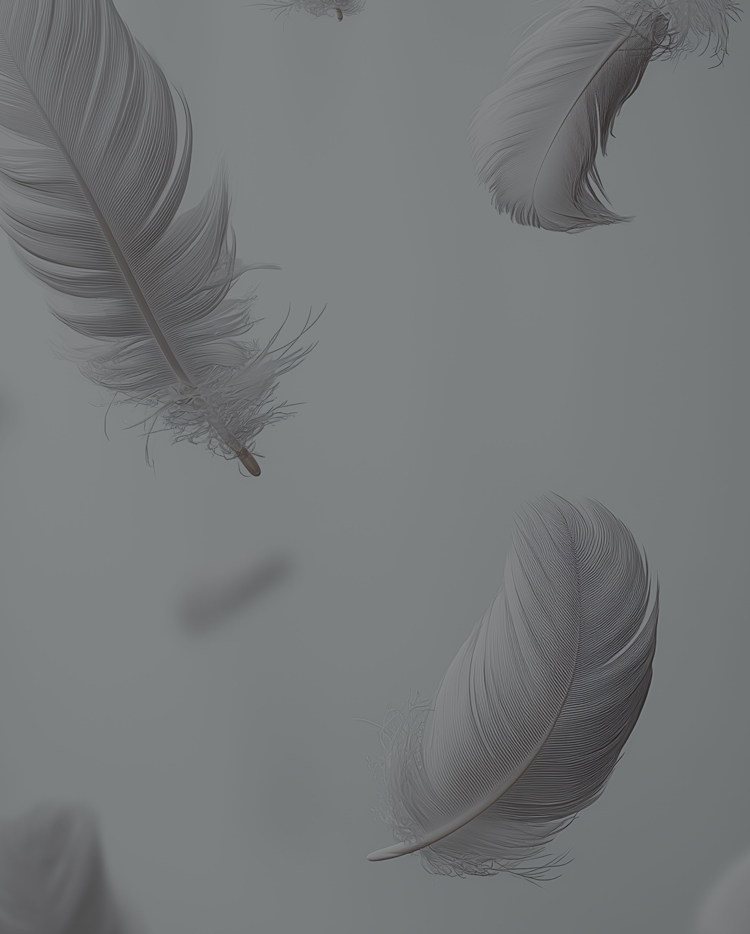 Feather DWR texture