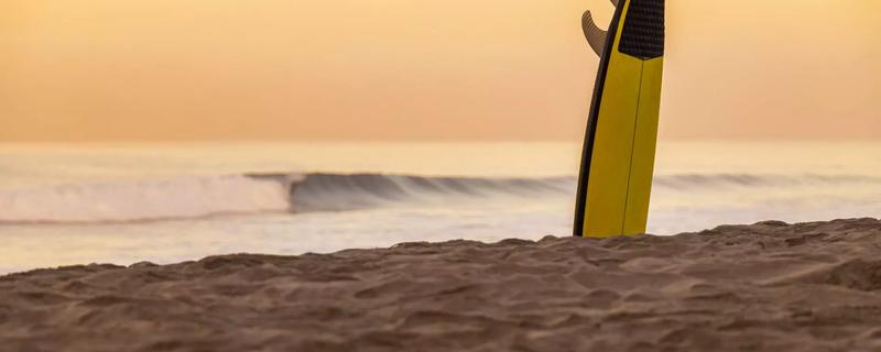 Top Areas of San Diego to Explore for Every Traveler