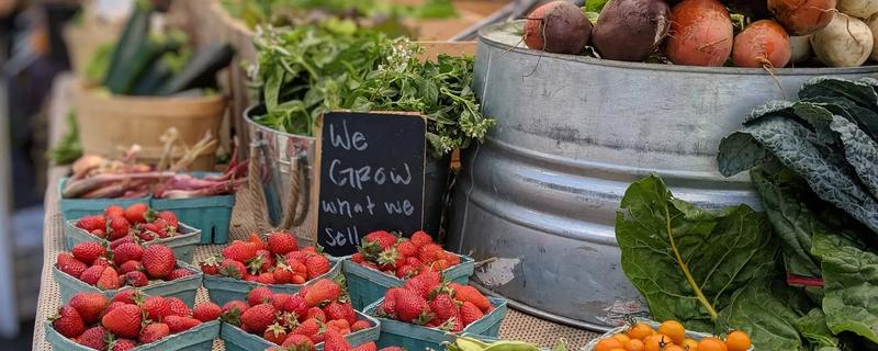 Discover the Charm of Hillcrest Farmers Market in San Diego