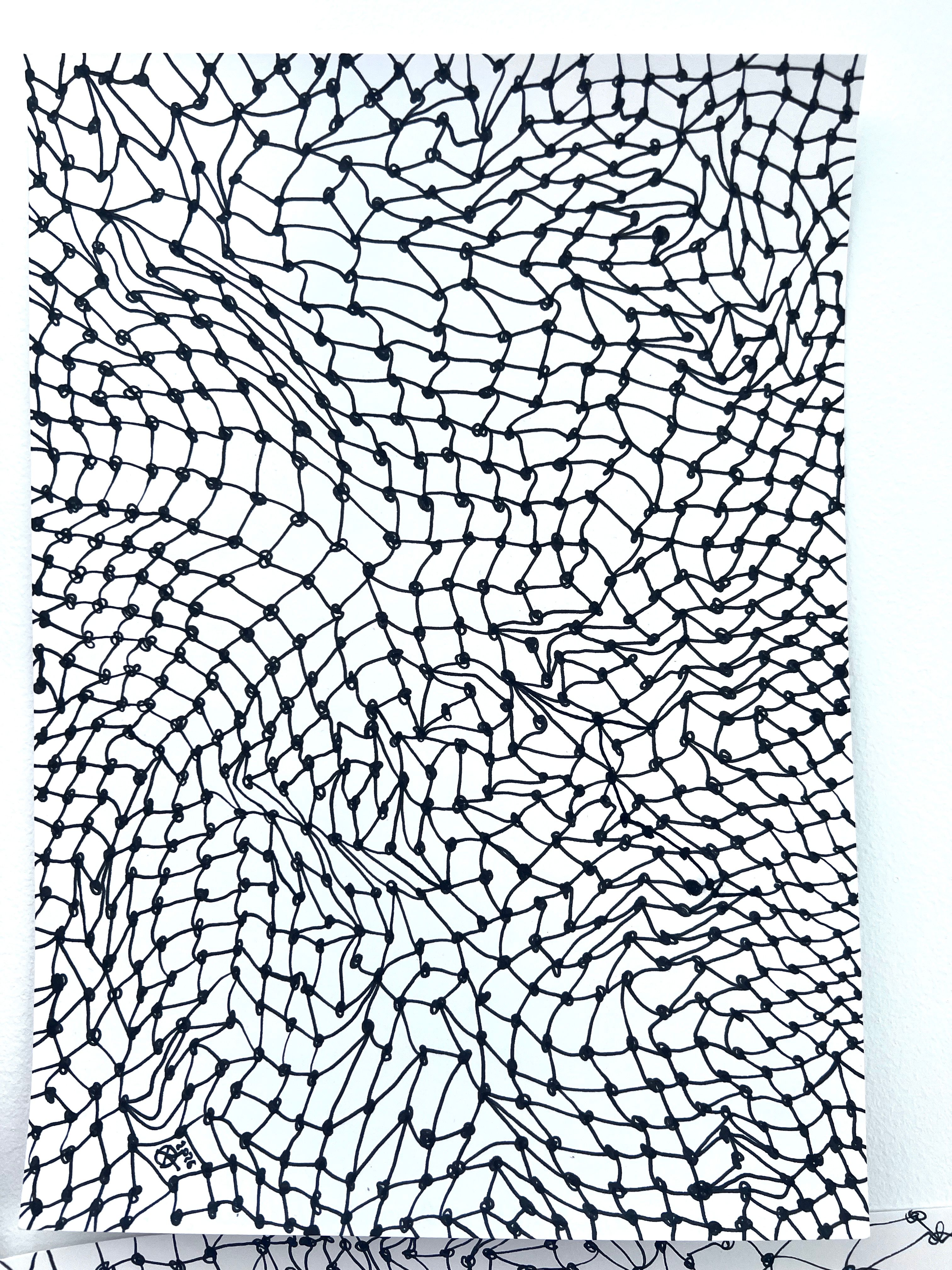 Meshy drawing no.12, artists sketch
