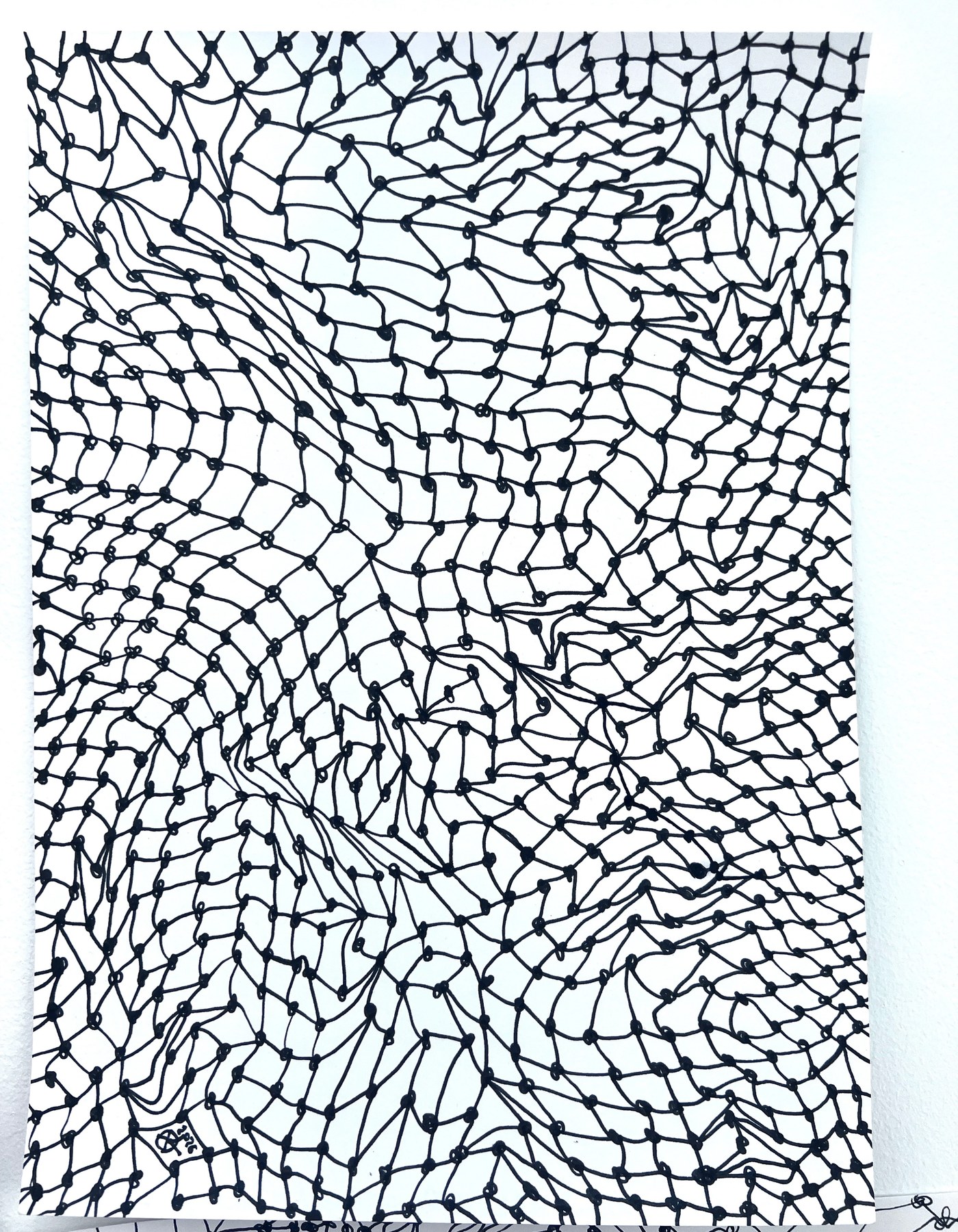 Meshy drawing no.12, artists sketch