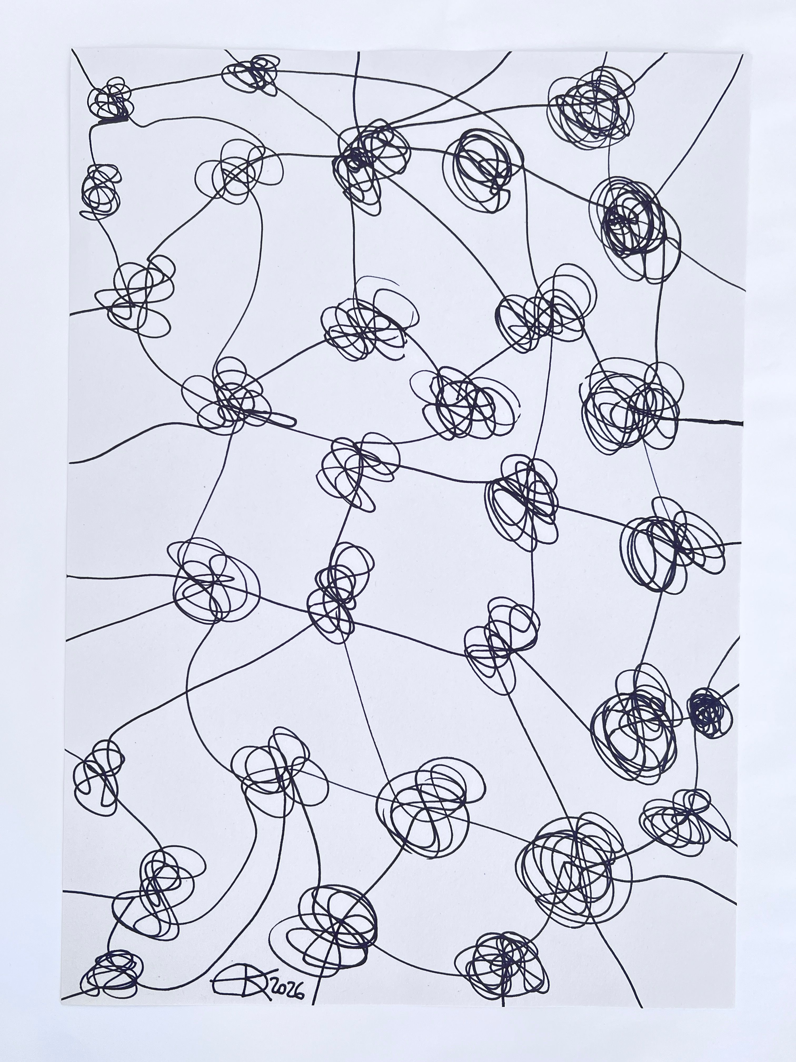 Linear drawing of the mesh, a net like pattern and structure consisting of lines (connectors) and irregular knots interconnecting throughout the composition.