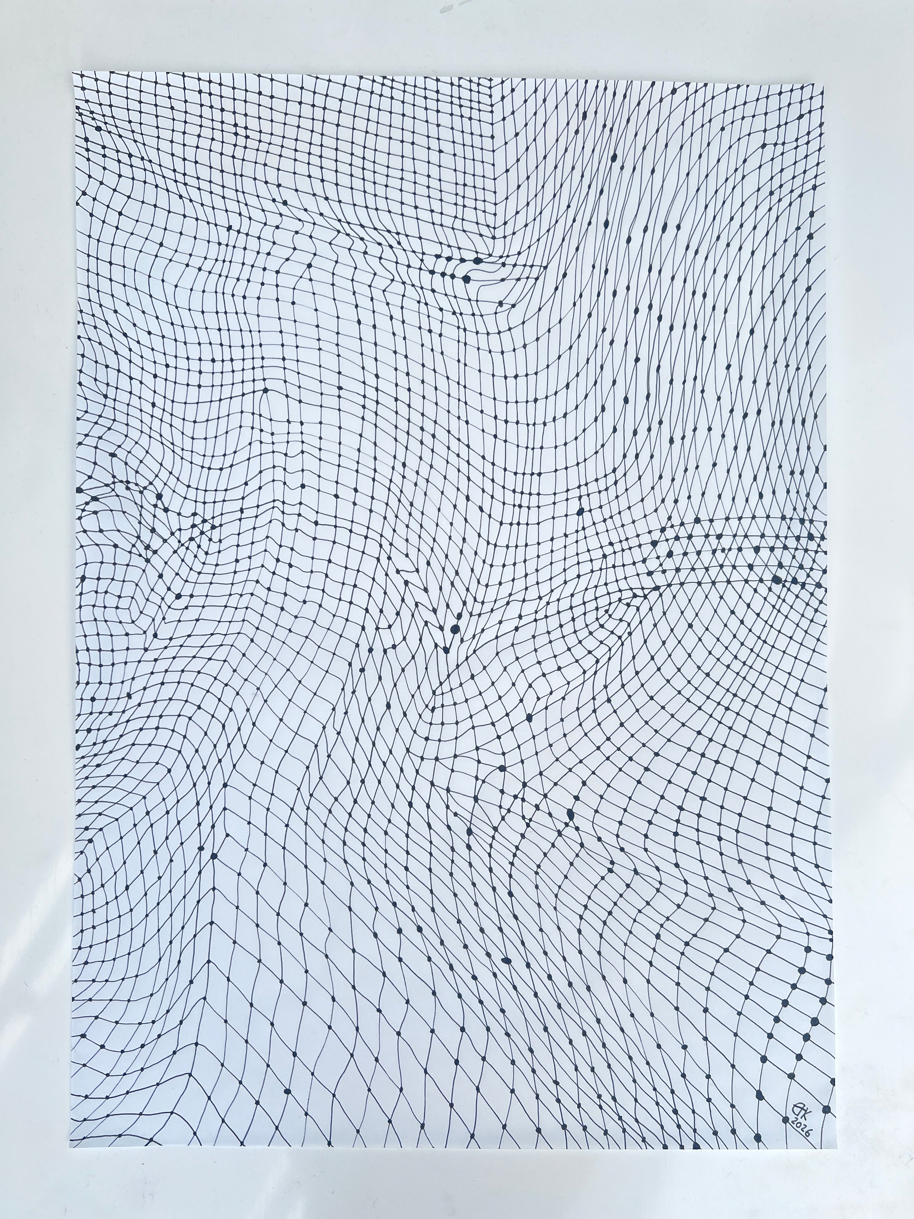 What a MESH! No.4 Compositional Drawing