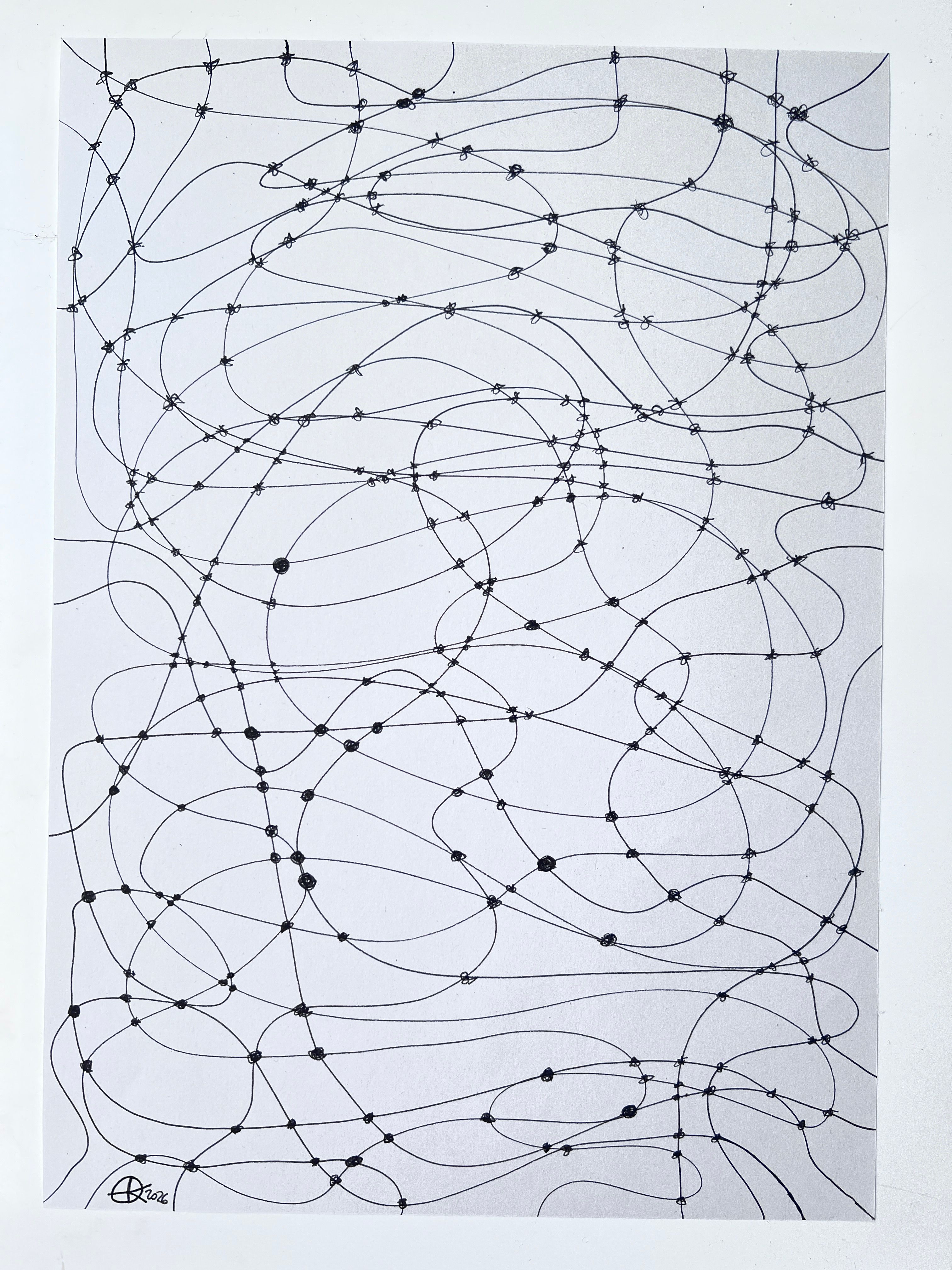 Linear drawing of the mesh, a net like structure consisting of lines (connectors) and knots interconnecting throughout the composition.