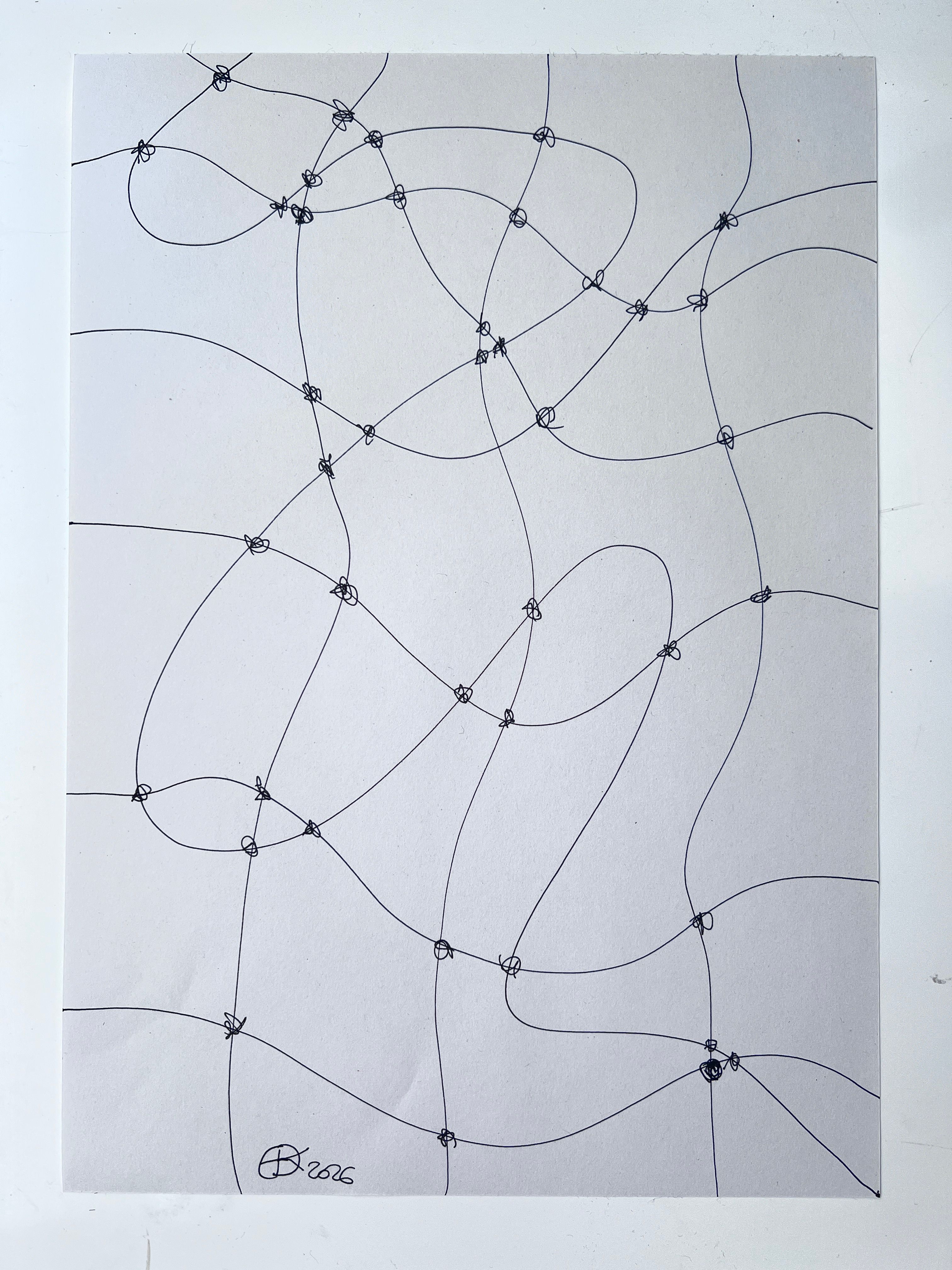Linear drawing of the mesh, a net like structure consisting of lines (connectors) and knots interconnecting throughout the composition.