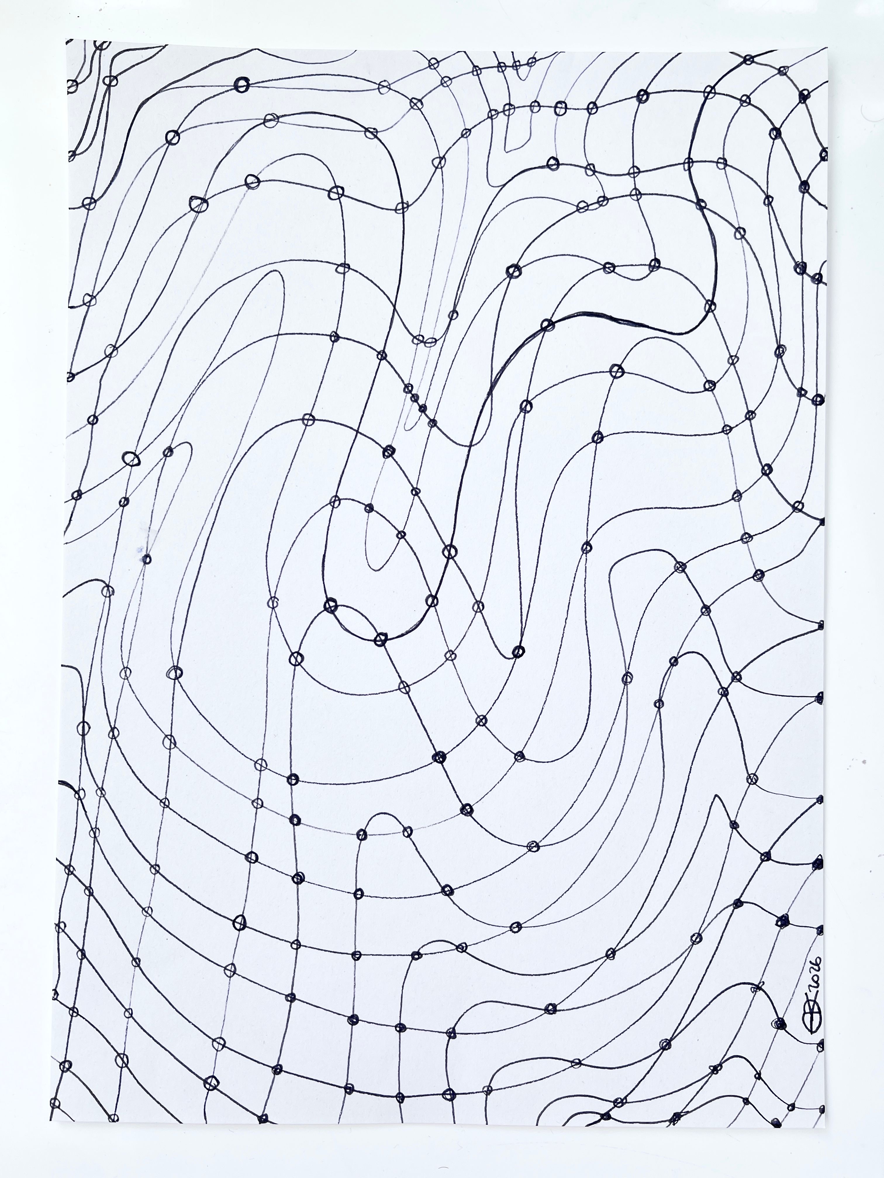 Meshy drawing no. 80, artist sketch