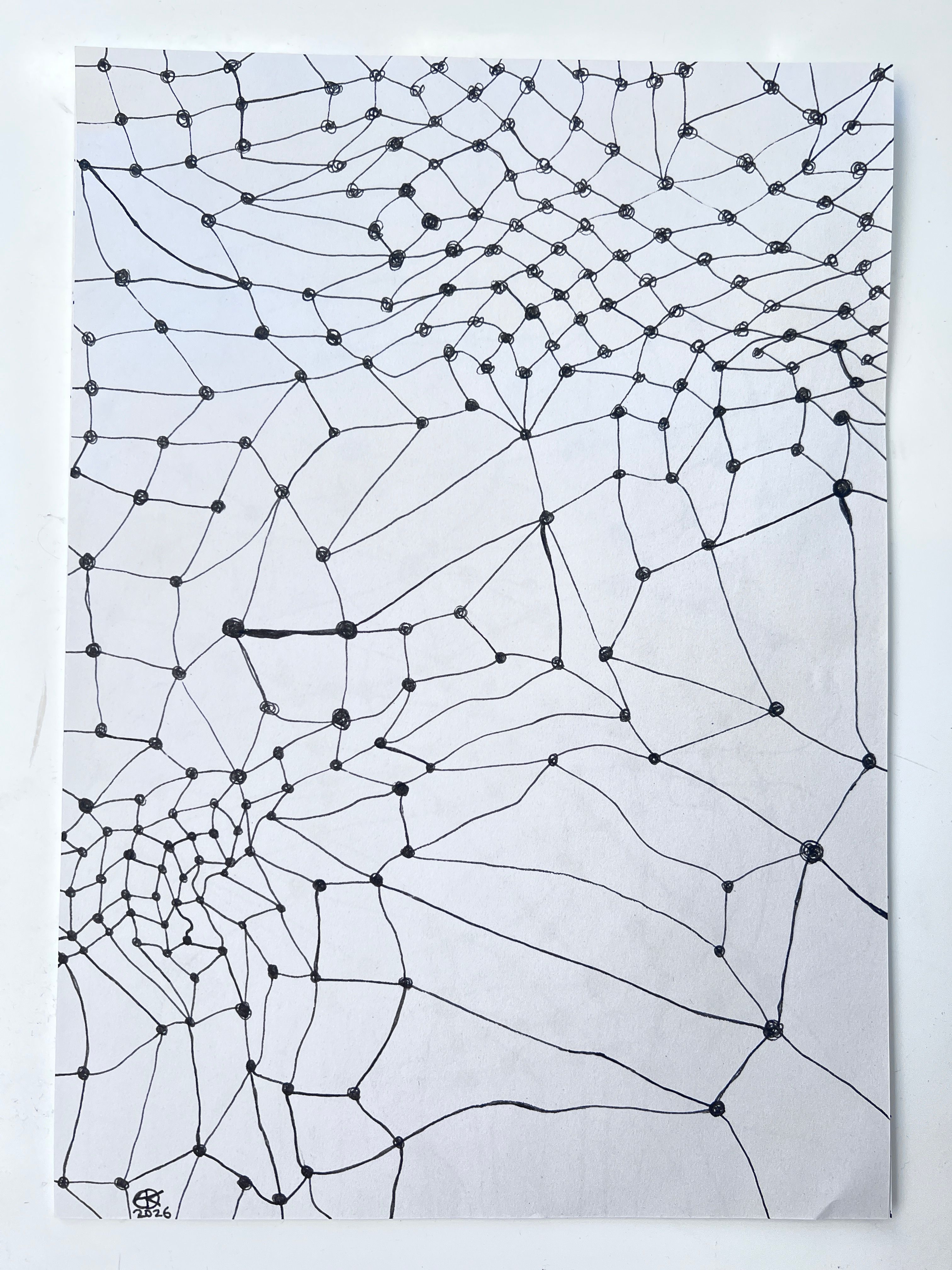 Linear drawing of the mesh, a net like pattern and structure consisting of lines (connectors) and irregular knots interconnecting throughout the composition.