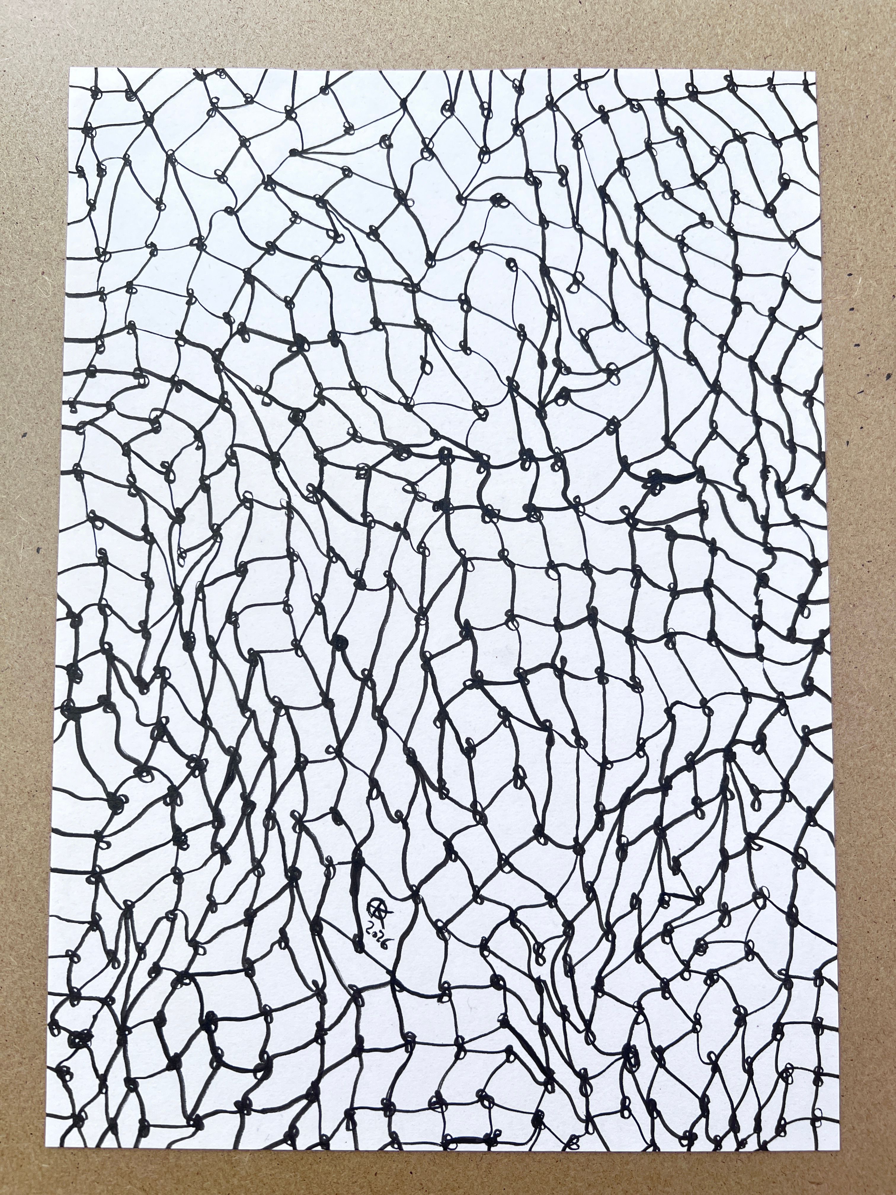 Meshy drawing no.19, artist sketch