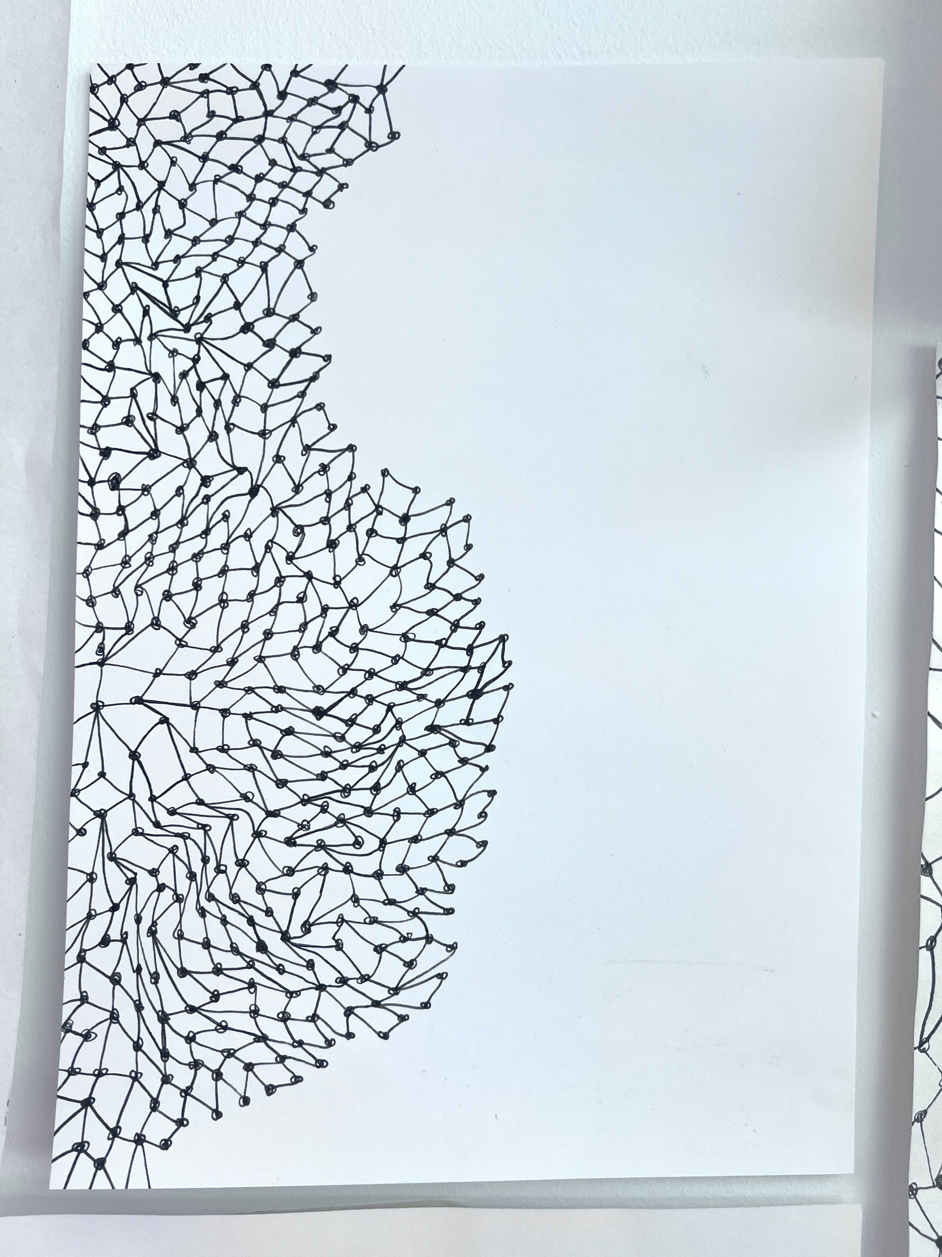 Artist sketch of a net, consisting of meshes.   Pen and black lightfast ink drawn on Bristol board white paper, of a meshes consisting of knots and lines, all appear different and irregular, organically replicating