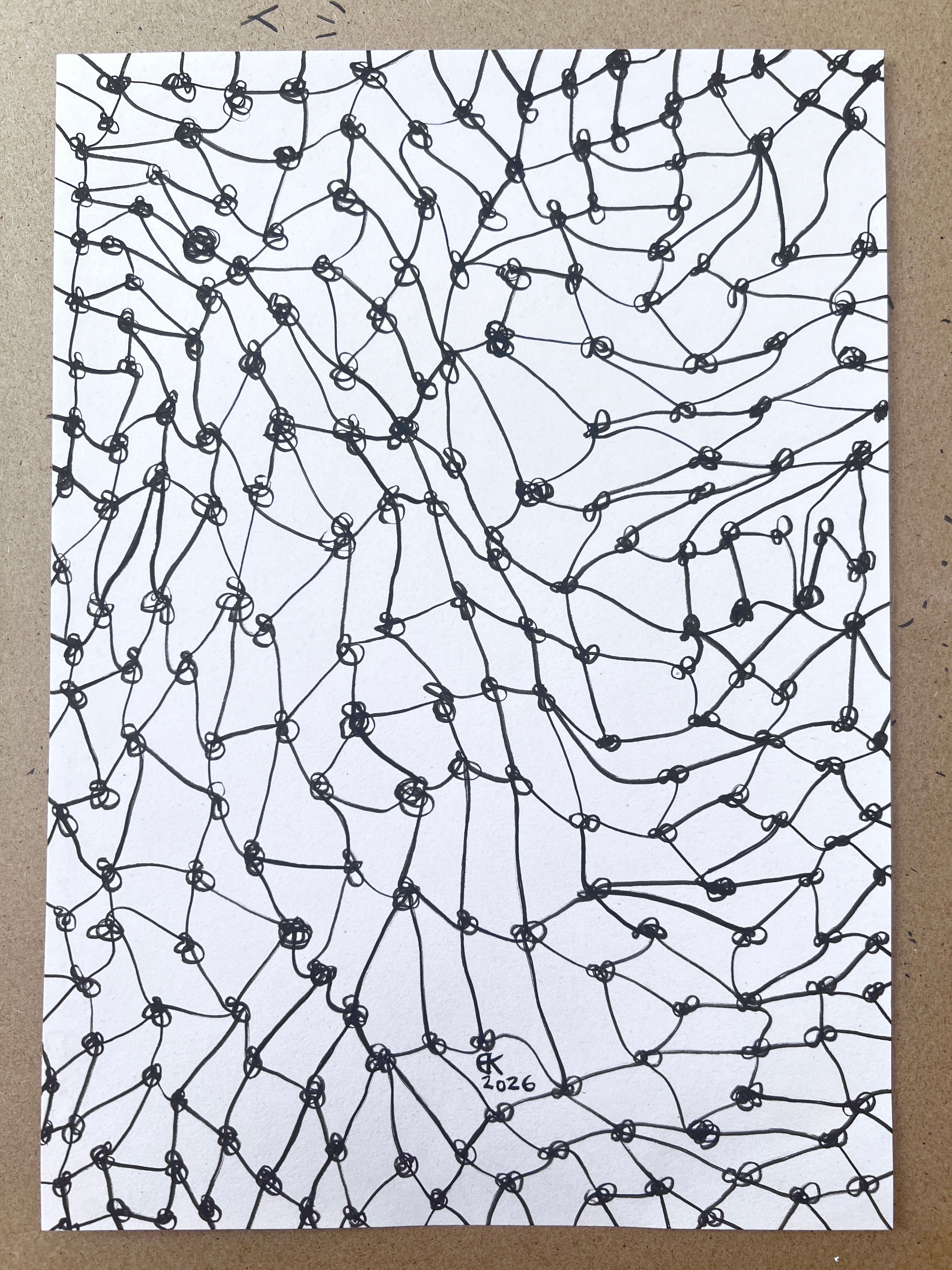 Meshy drawing no.20, artist sketch
