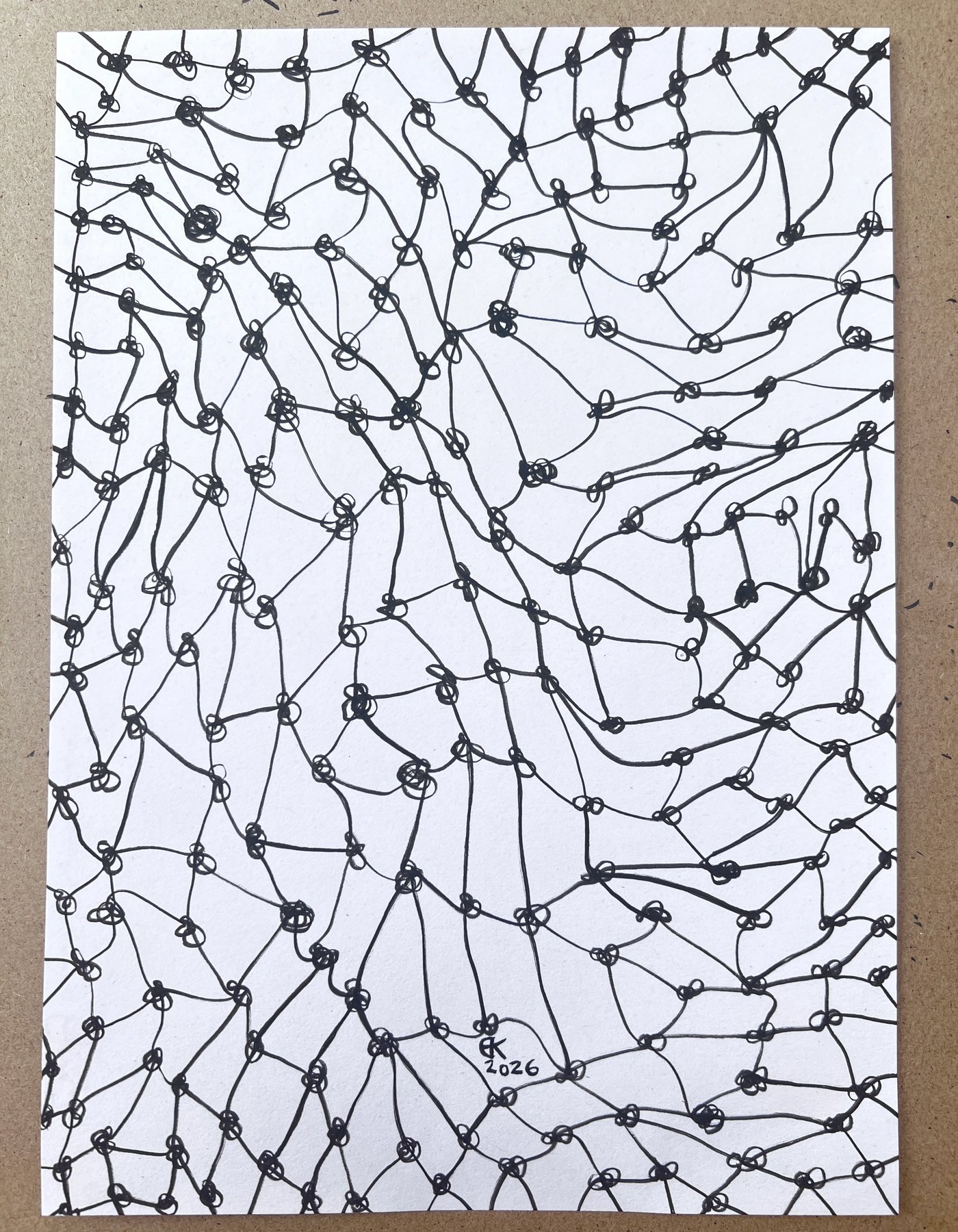 Meshy drawing no.20, artist sketch