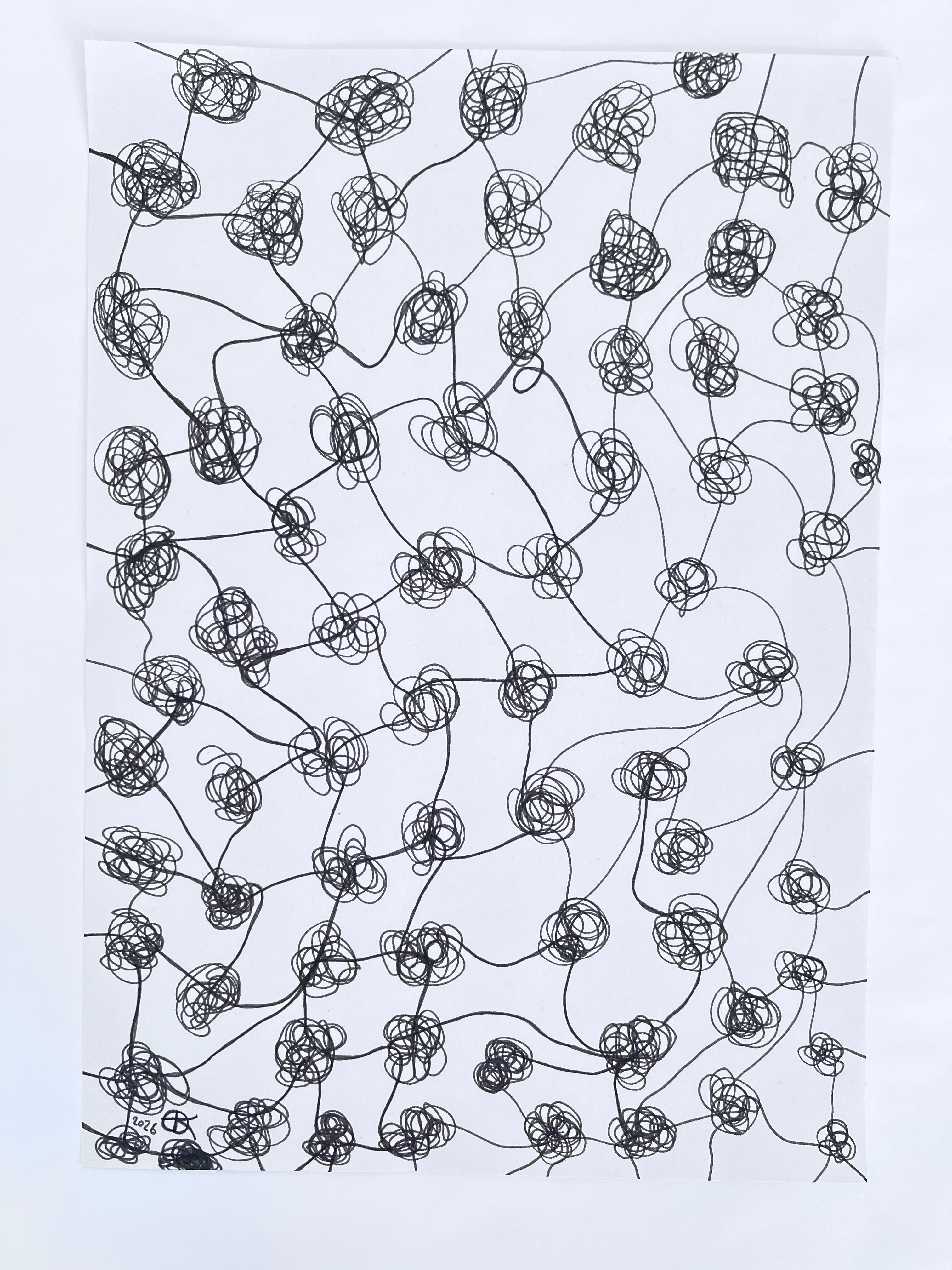 Linear drawing of the mesh, a net like pattern and structure consisting of lines (connectors) and irregular knots interconnecting throughout the composition.
