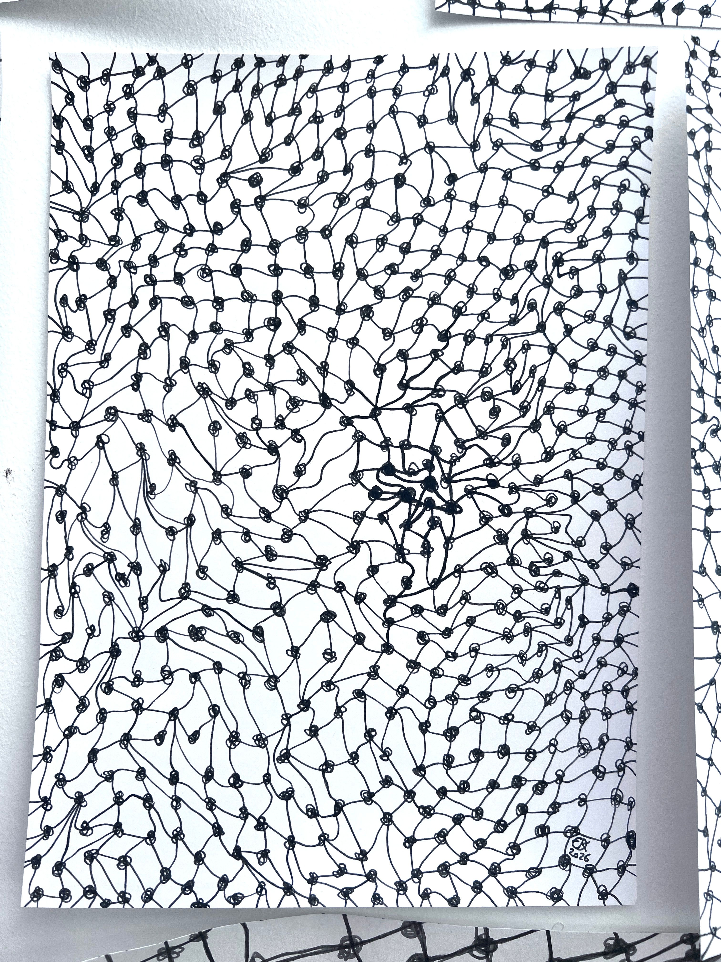 Meshy drawing no. 17, artist sketch