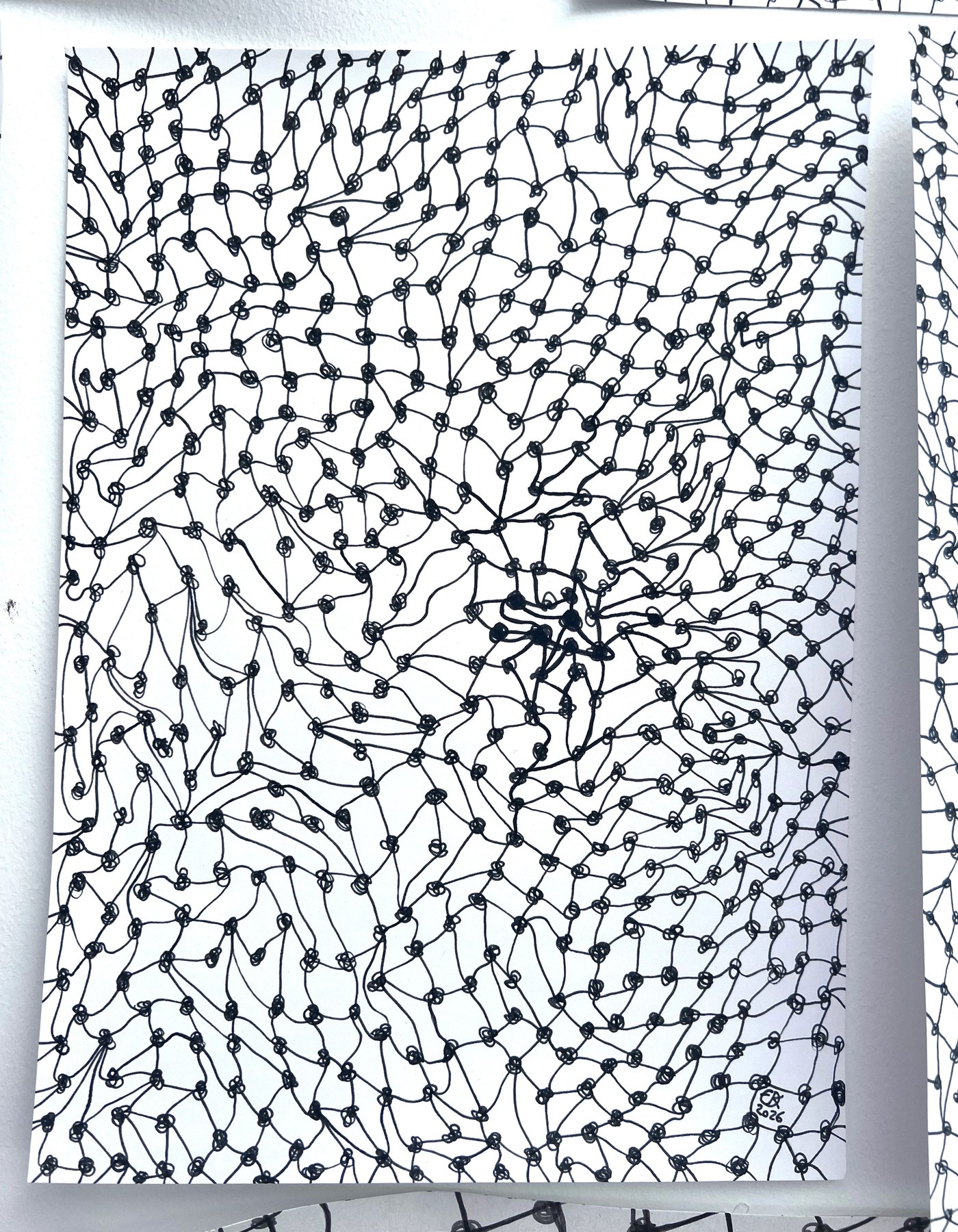 Meshy drawing no. 17, artist sketch