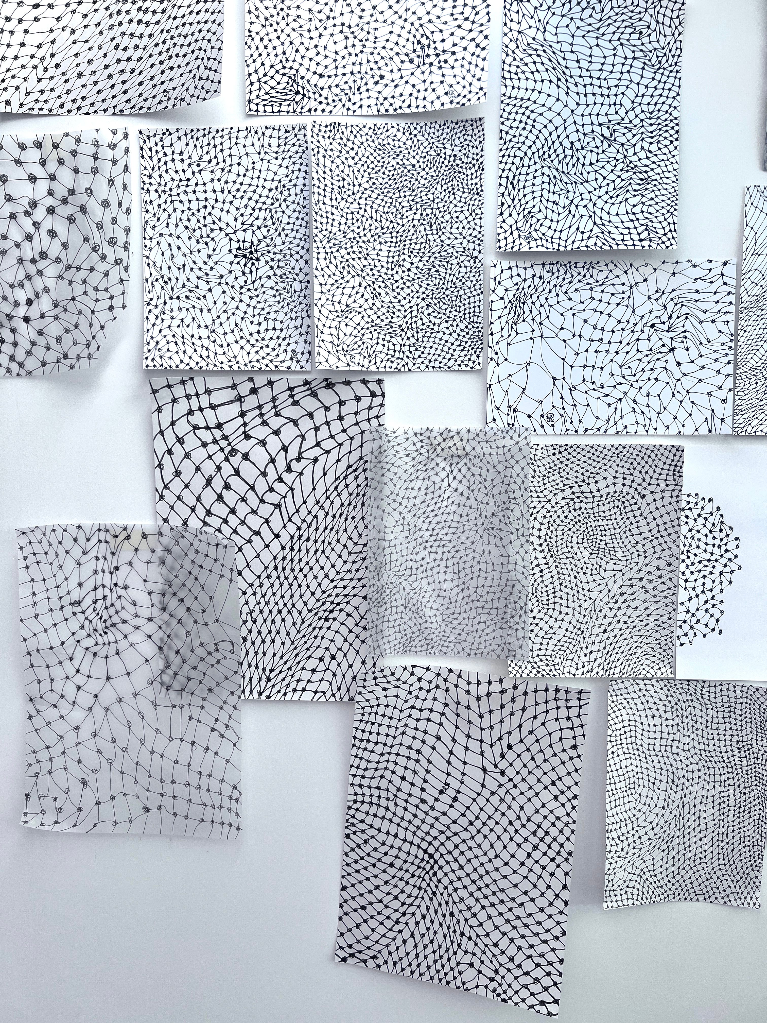 Mesh Drawings on the studio wall hung randomly