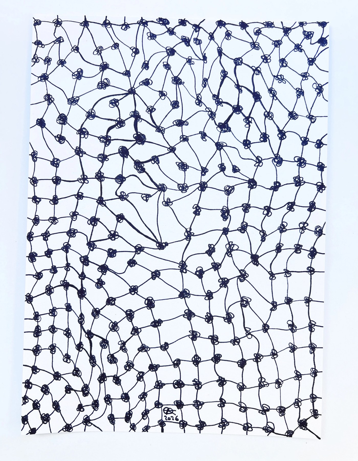 Meshy Drawing no. 34, artist sketch